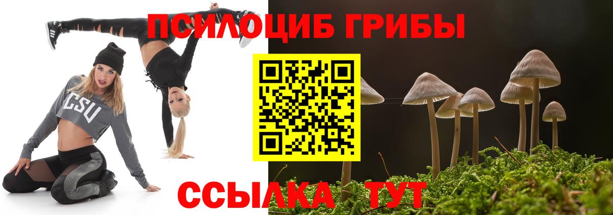 Вичуга  Псилоцибиновые грибы мухоморы  Вход с VPN  купить закладку  Псилоцибиновые грибы Psilocybine cubensis 